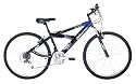 Raleigh Daytona 21" Frame 26" Wheel Mens / Boys Bike