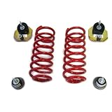 1984-1987 Lincoln Continental Rear Air Suspension Conversion Kit by Strutmasters