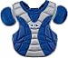 TeamExpress - Easton Stealth Intermediate Chest Protector