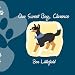 Our Sweet Boy, Clarence: The Life and Times of the World's Awesomest Dog!