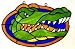 Florida Gators Suncatcher