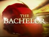 #1301 - Bachelor Special