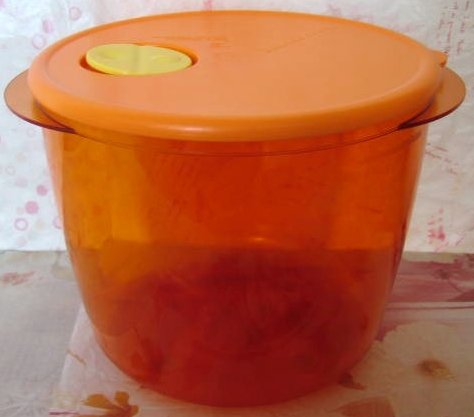 Tupperware Rock N Serve Round Deep Orange Peel