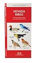 Nevada Birds