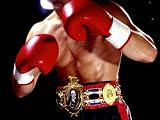 Torso of a Male Boxer Wearing Boxing Gloves and a Belt Photographic Poster Print