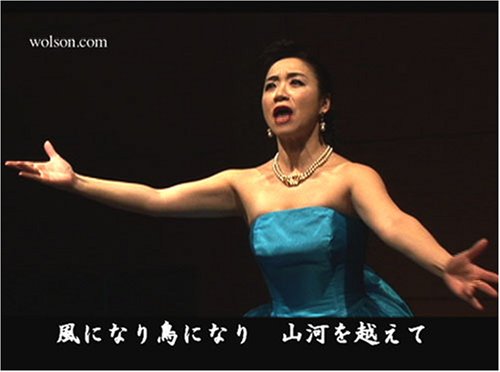 山河を越えて/高麗山河わが愛 [DVD]