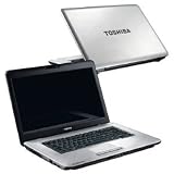 Toshiba Satellite L450 15.6″ 160GB HD Notebook