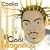 Cool Magnifico