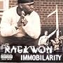 Immobilarity