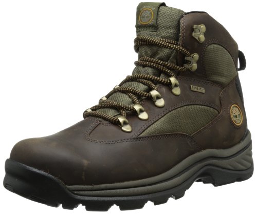 Timberland Men's Chocorua Gore-Tex Hiker