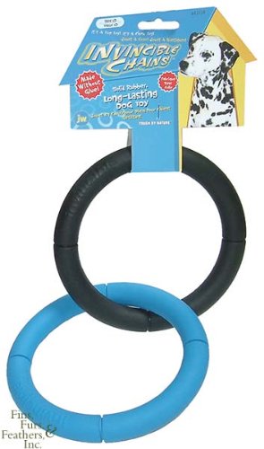 Jw Pet Products Invincible Chains Large Double Ring 6' Diame