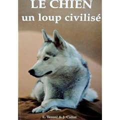 Le Chien : Un loup civilis�