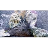 3D Aquarium [Blu-ray 3D]
