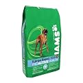 Iams Dry Dog Food - Large Breed (40 lb.).