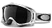 Oakley Unisex Adult Crowbar Rectangular Plutonite Snow Goggles (Silver Ghost Text, Dark Grey)