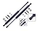 2 Pieces (SET) Tuff Support Hatch Lift Supports 1992 To 1995 Honda Civic
