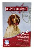 Advantage for Dogs - 21-55 lbs - 4 month supply