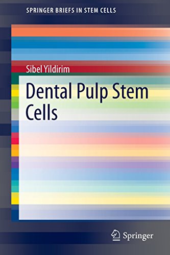 dental pulp stem cells springerbriefs in stem cells
