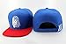 DG GOLD New Last Kings Snapback Hat Cap Red Sankeskin Leopard (Blue & Red-LK)