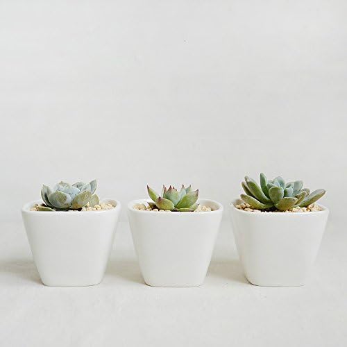 Little Geometric Ceramic Succulent Planter-White Porcelain Succulent Planter Pot-With Hole on Bottom-Modern Minimalist-Home Decoration Centerpiece