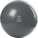 GoFit 75cm Professional Stability Ball