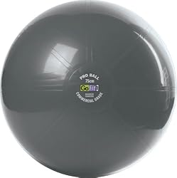GoFit 75cm Professional Stability Ball