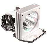 OPTOMA BL-FS200B OEM PROJECTOR LAMP EQUIVALENT WITH HOUSING