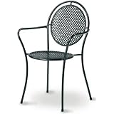 Kettler Lion Wrought Iron Arm Chair