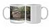 Photo Mugs of Tiger - watching Sambar Deer (Cervus unicolor) from Rajbagh Palace from Ardea Wildlife Pets