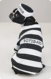 X-SMALL - Prison Pooch Halloween Costume