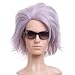 Silver Grey Anime Costume Cosplay Short Cut Wig