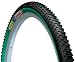 Geax Sedona 2.0 Tubeless Tire