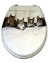 WC-Sitz * F�NF KATZEN *