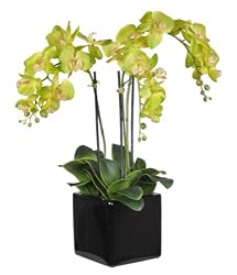 Artificial Triple-stem Phalaenopsis Orchid Arrangement Lime Green