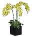 Artificial Triple-stem Phalaenopsis Orchid Arrangement Lime Green