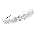 Polytree Women's Fashion Crystal Rhinestone Flower Leaf Tiara Hair Band Headband