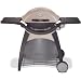 Weber 586002 Q 320 Portable Outdoor Gas Grill Reviews