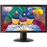 VIEWSONIC VA2014W - 51 cm (20