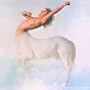 Ride a Rock Horse