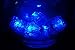 Set of 12 Litecubes Brand 3 Mode BLUE Light up LED Ice Cubes
