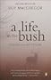 Life in the Bush