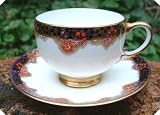 Review paragon  / c1914 Star China Paragon F787 Orange Blue Cup & Saucer