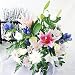 �y�t�����[�}�[�P�b�g�ԗR�z�y�N�[���ցz���������ԃA�����W �����p