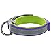 Pawtitas Lumberjack Padded Martingale Collar for Dogs | Soft Neoprene Dog Collar for Your pet's Comfort Made with Reflective Band for Maximum Visibility | Fits Small and Large Pets - Large Purple