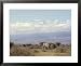 Amboseli Game Reserve and Mount Kilimanjaro, Kenya, East Africa, Africa Animals Framed Art Poster Print by Storm Stanley, 31x25