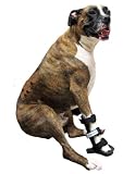 Walkin' Wheels Front Leg Dog Splint Size: XXSmall