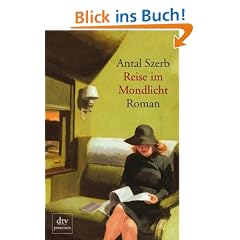 Reise im Mondlicht: Roman