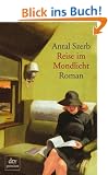 Reise im Mondlicht: Roman