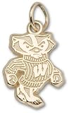 Univ Of Wisconsin Bucky Badger 1/2 Charm/Pendant -14K/10K, Stainless Steel or Gold Plated