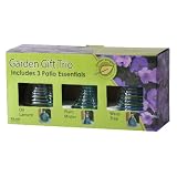 Garden Delight Gift Trio Oil Lantern Plant Mister and Wasp 
